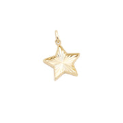 Sparkle Star Charm