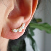Petal Opal Ear Crawler